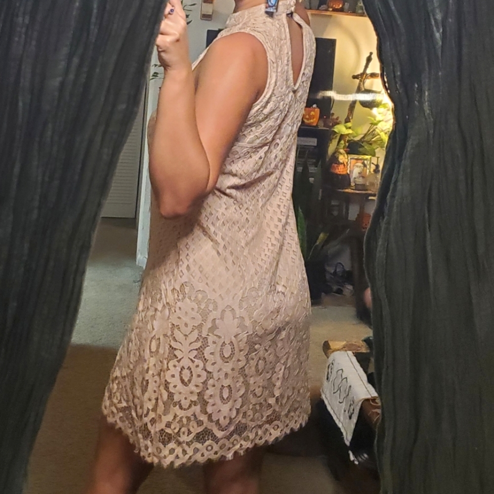 Light pink lace dress